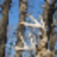 img_0159__resize-thumb