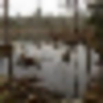 img_0218-150x150__resize-thumb