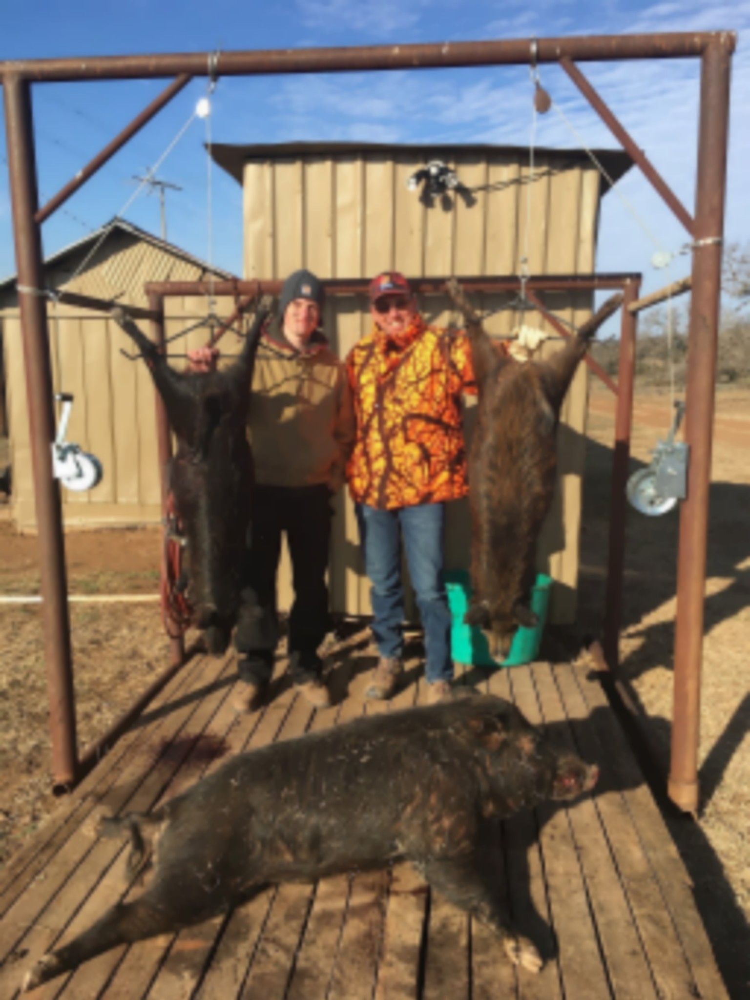 Texas Hill Country Hog Hunting Hunts images 1