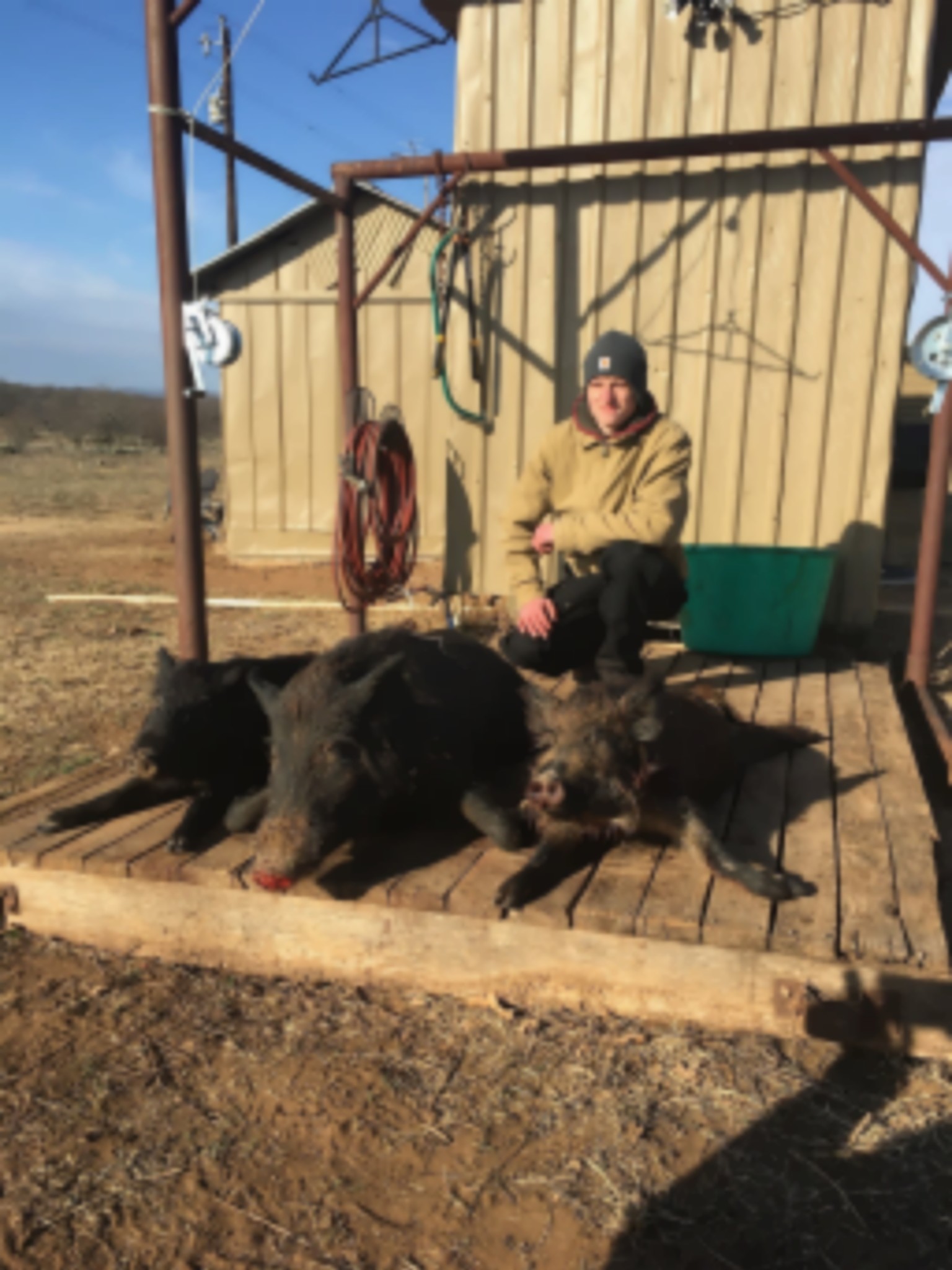 Texas Hill Country Hog Hunting Hunts images 2