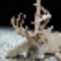 img_1008__resize-thumb