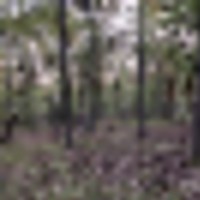 img_1060__resize-thumb