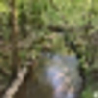 img_1093__resize-thumb