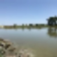 img_1284__resize-thumb
