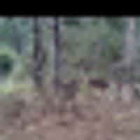 img_1541__resize-thumb