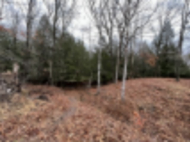  New Land for Lease images 3
