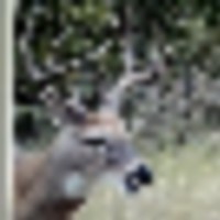 img_20220114_210843__resize-thumb