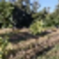 10 acres of marshland including a stream