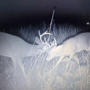 Img 20231210 123542 promo image