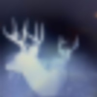 Northeast Missouri Whitetail and Turkey Hunting Leases images 2
