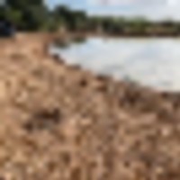 img_2161__resize-thumb