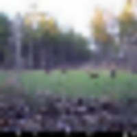 img_2710__resize-thumb
