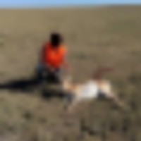 Prime Antelope/Pronghorn Hunting (960 acres) images 5