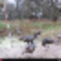 img_3201__resize-thumb