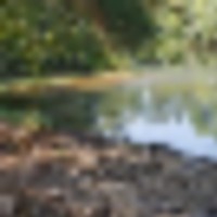img_4309__resize-thumb