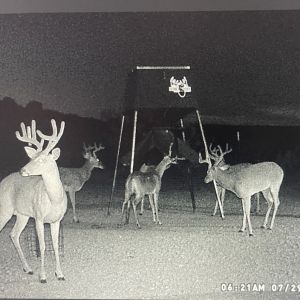 Img 5222 promo image