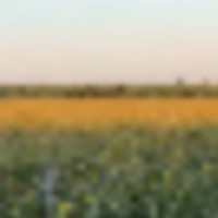 img_6645__resize-thumb