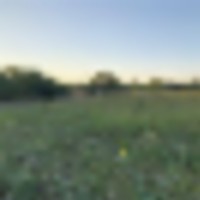 img_6646__resize-thumb
