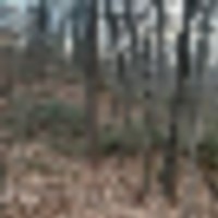 11 Acres is a Loudoun County