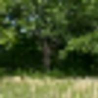 img_7912__resize-thumb
