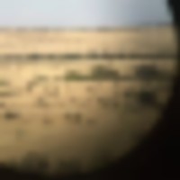 Pronghorn Antelope Rifle Hunt for 1 Hunter on 3,000 Acre Private Ranch images 5