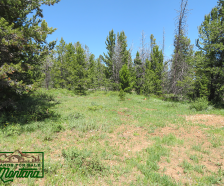Wooded Property near the Big Hole River - Mountain Maid  3.55 Acres For  29 850