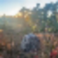 inbound8101345437146028304__resize-thumb