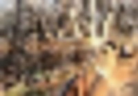 index77__resize-thumb