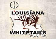 Louisiana Whitetails