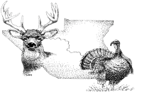 Buckeye Creek Outfitters