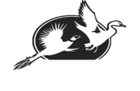 Marsh Lake Hunting Club