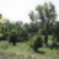luc2_1__resize-thumb