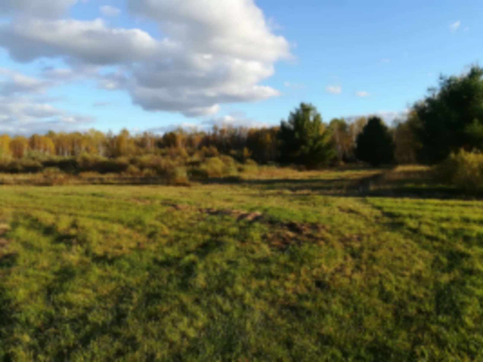 120-Acre Prime Wisconsin Whitetail Hunting Land images 4