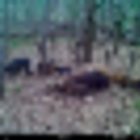 mfdc0265__resize-thumb