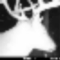 mfdc3152__resize-thumb