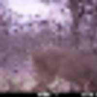 mfdc3285__resize-thumb