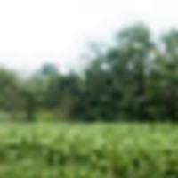 monroe1__resize-thumb