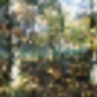 monroe3__resize-thumb