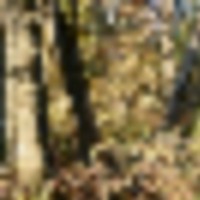monroe4__resize-thumb