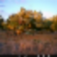 mud_0306__resize-thumb
