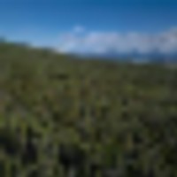 North Brush Creek Preserve images 1