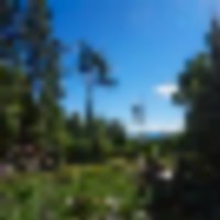 North Brush Creek Preserve images 4