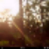 oak__resize-thumb