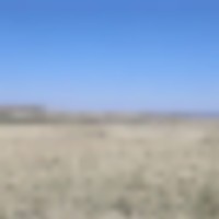 Park Ranch images 3