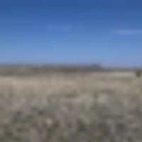 Park Ranch images 4