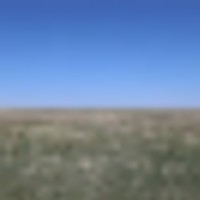 Park Ranch images 6