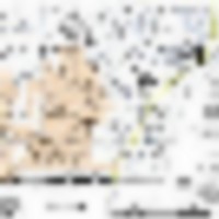Boggy Hollow - 7,000 acres for hunting Turkey & Quail in south Alabama images 2