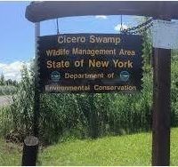 Cicero Swamp - 4,991 acres Whitetail Deer & Waterfoul hunting area at Onondaga, NY