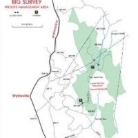 7,500-acre Big Survey WMA - Turkey hunting land in Wythe, VA