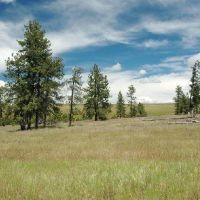 Bridge Creek WMA - 15,206 acres Mule Deer hunting land in Umatilla, OR